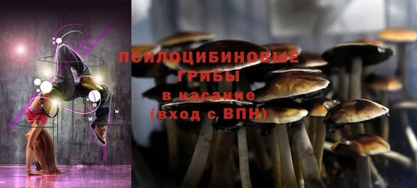 герыч Тайга