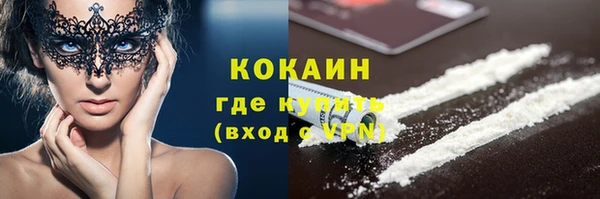 стаф Сясьстрой