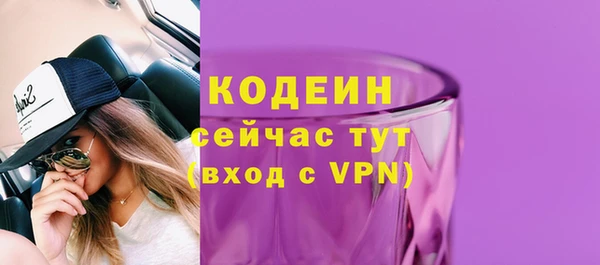 стаф Сясьстрой
