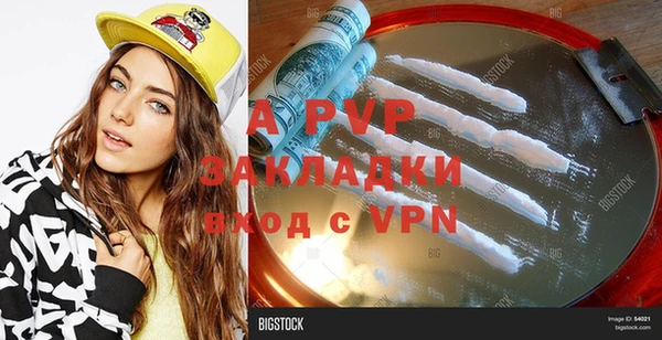 стаф Сясьстрой