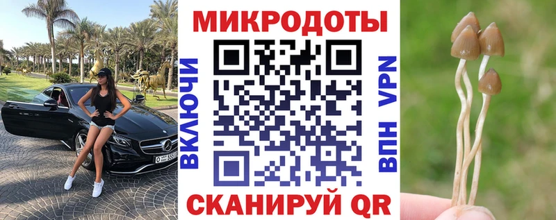 Псилоцибиновые грибы GOLDEN TEACHER Калуга