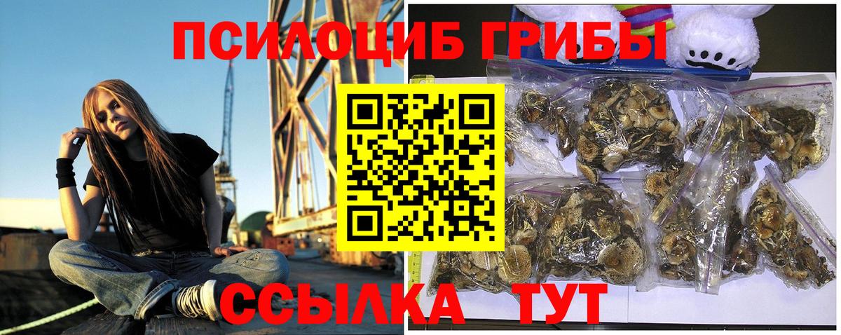 Псилоцибиновые грибы Psilocybine cubensis  Галлюциногенные грибы мицелий  Калуга  Вход с VPN 